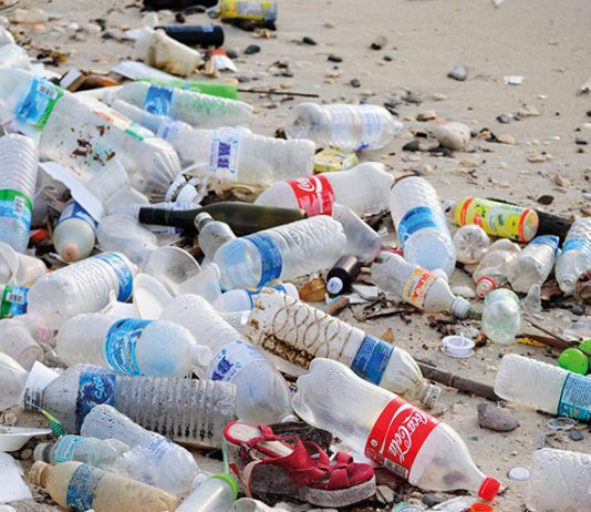 Britvic backs plastic pledge Plastic bottles