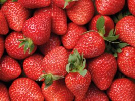 Aldi picks up the slack for farmers