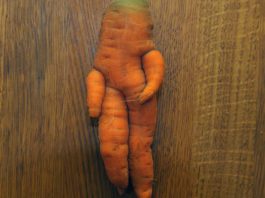 Ugly produce wasted