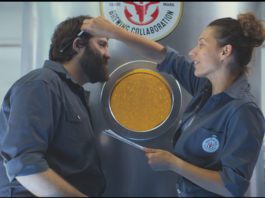 Maltsmiths on screen