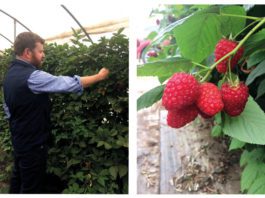 Graduate scheme for Scottish agriculture