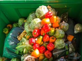 Major retailers commit to halve food waste