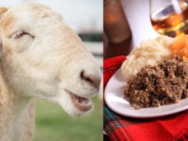 One in ten puddin’ chieftains are meat free