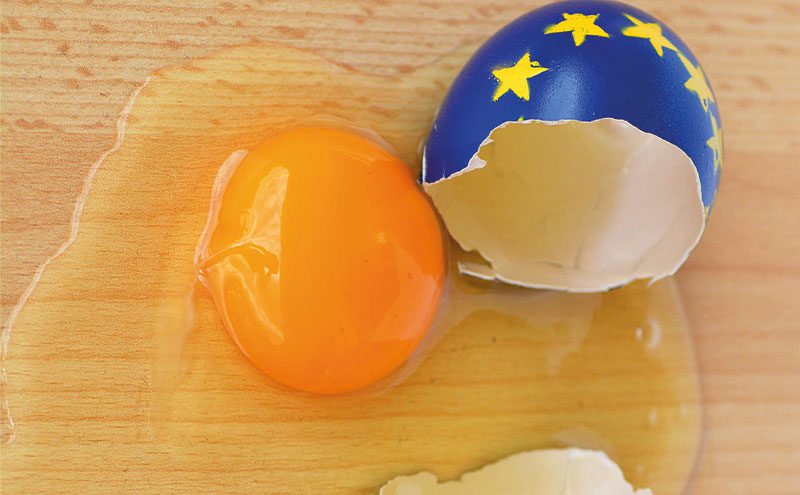 Broken Egg with EU theme