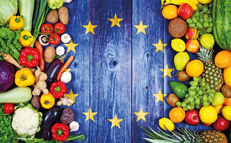 eu flag with fruit and vegetables