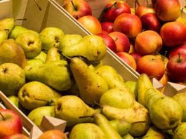 Cutting the wrap for fresh food fruit and veg in boxes
