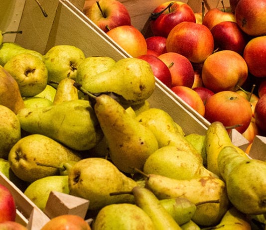 Cutting the wrap for fresh food fruit and veg in boxes