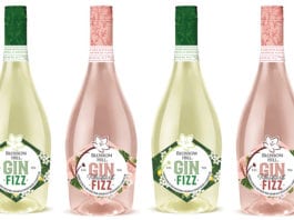 Sofizzticated gin Blossom HIll gin fizz