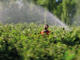 Berries burst onto the TV Ribena-Blackcurrant-Artistry