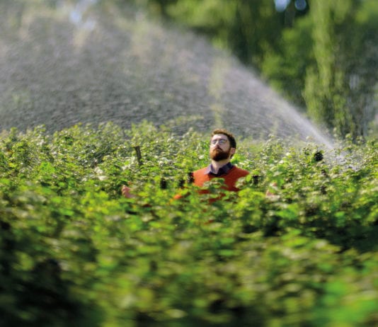 Berries burst onto the TV Ribena-Blackcurrant-Artistry