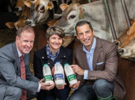 Cows come to CJ Lang graham's-the-family-dairy