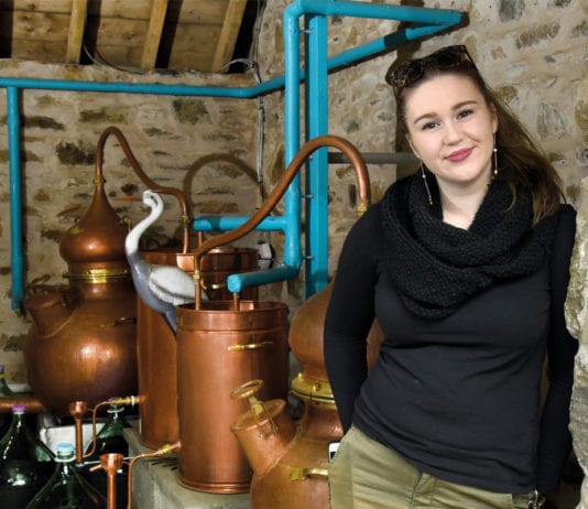 Shaking up the spirits industry helen-stewart