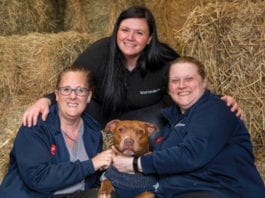 Lending a helping paw SPCA-rehoming-week