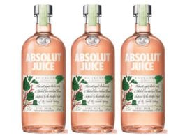Absolutly fruity rhubarb-flavoured-vodka-absolute-juice