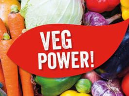 Corn-cerns for kids diet veg-power-campaign
