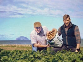 It’s got the be Ayrshire spuds girvan-early-growers