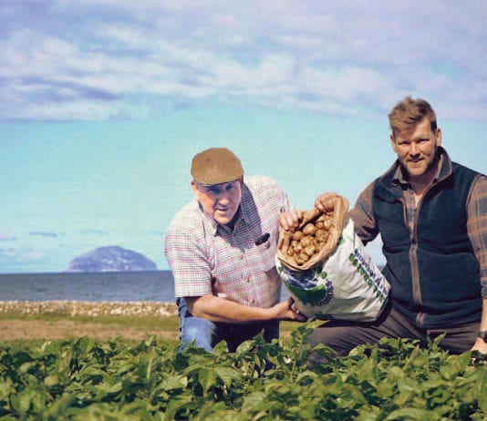 It’s got the be Ayrshire spuds girvan-early-growers