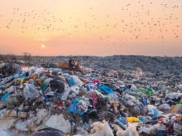 Producers to take responsibility packaging-producer-responsibility-system