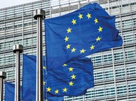 EU workers rights in the age of Brexit EU flags