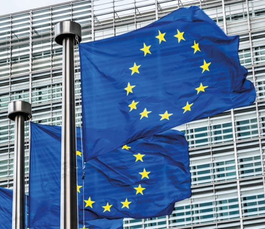 EU workers rights in the age of Brexit EU flags