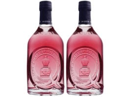 Supermarket deal for small Scottish gin Raspberry & Vanilla McQueen gin