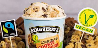 Ben & Jerry's cookie dough non dairy