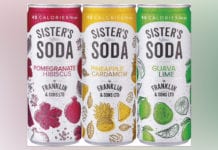 franklin-and-sons-low-calorie-soda