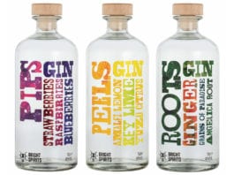 Bright new gin arrives pips-gin