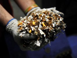 Taking down illicit traders Shredded illegal cigarettes