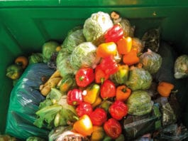 All waste is a waste of cash food waste