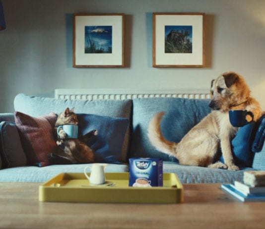 NPD is brewing good in stores dog on sofa behind tetley