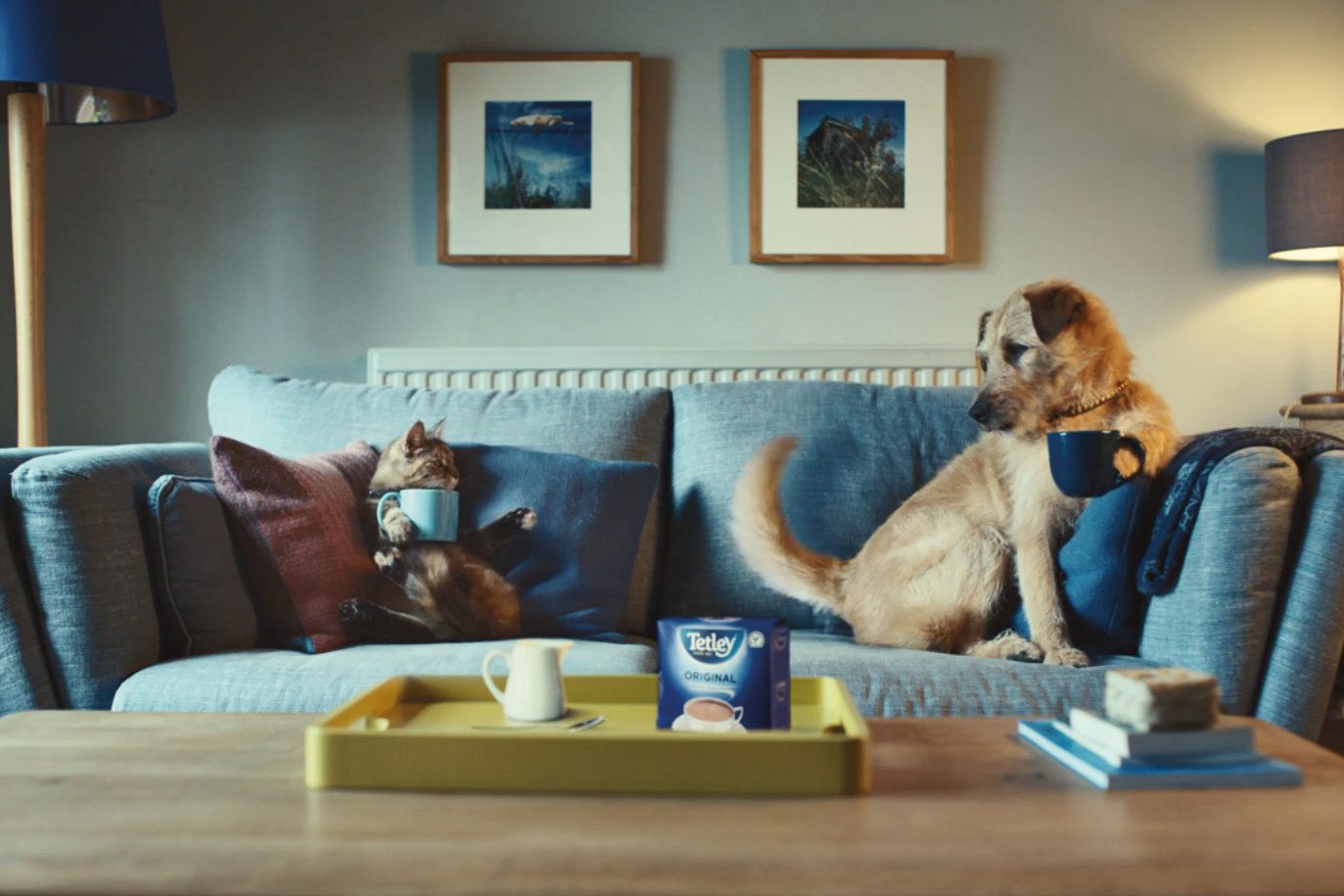 dog on sofa drinking tetley