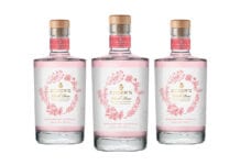 Pernod Ricard has expanded its free-from alcohol offer with a rose variant.