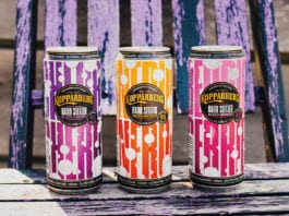 Hard hitting RTD launch Boxing champ Anthony Joshua has backed the Lucozade Sport campaign to support fitness workers.