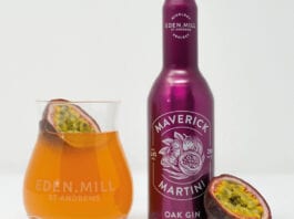 Saucy serve in a bottle Eden Mill Maverick Martini