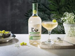 A spirited discussion edinburgh-gin-cocktails