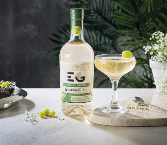 A spirited discussion edinburgh-gin-cocktails