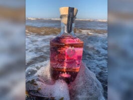 A real gin revolution marie-jeanne-in-the-sea