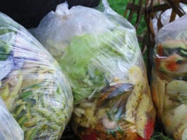 Zero Waste Scotland launches food waste matchmaker food waste in bags