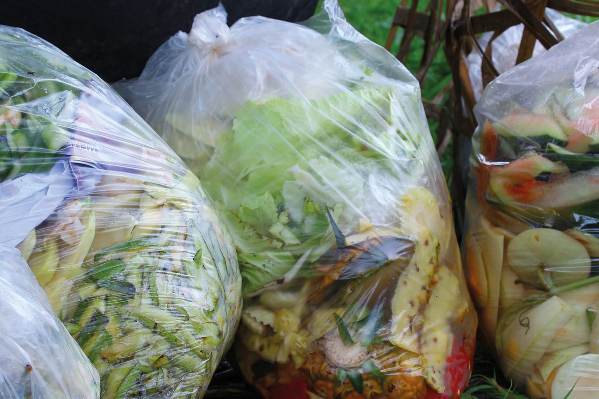 food waste in bags