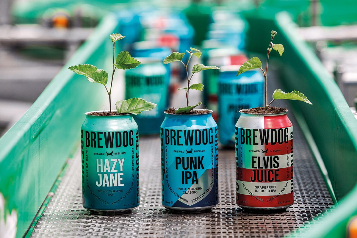 Brewdog cans forest project