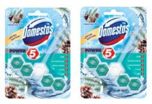 domestos christmas products