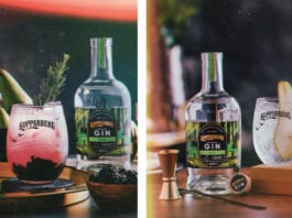 Classic flavour in a new format Kopparberg cocktails