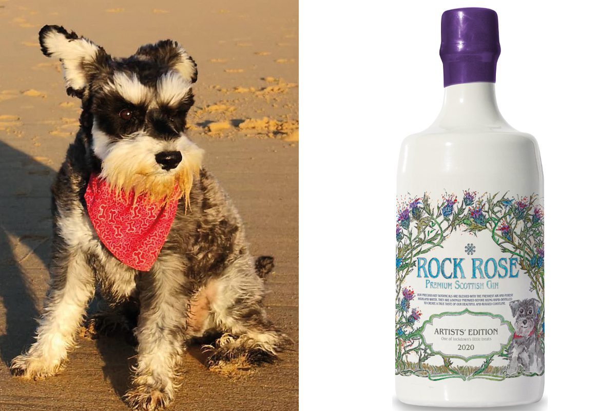 Rock Rose dog mascot