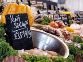 SGF match-funding pilot scheme launched