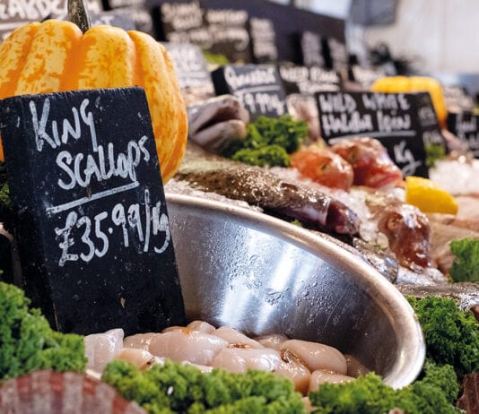 SGF match-funding pilot scheme launched