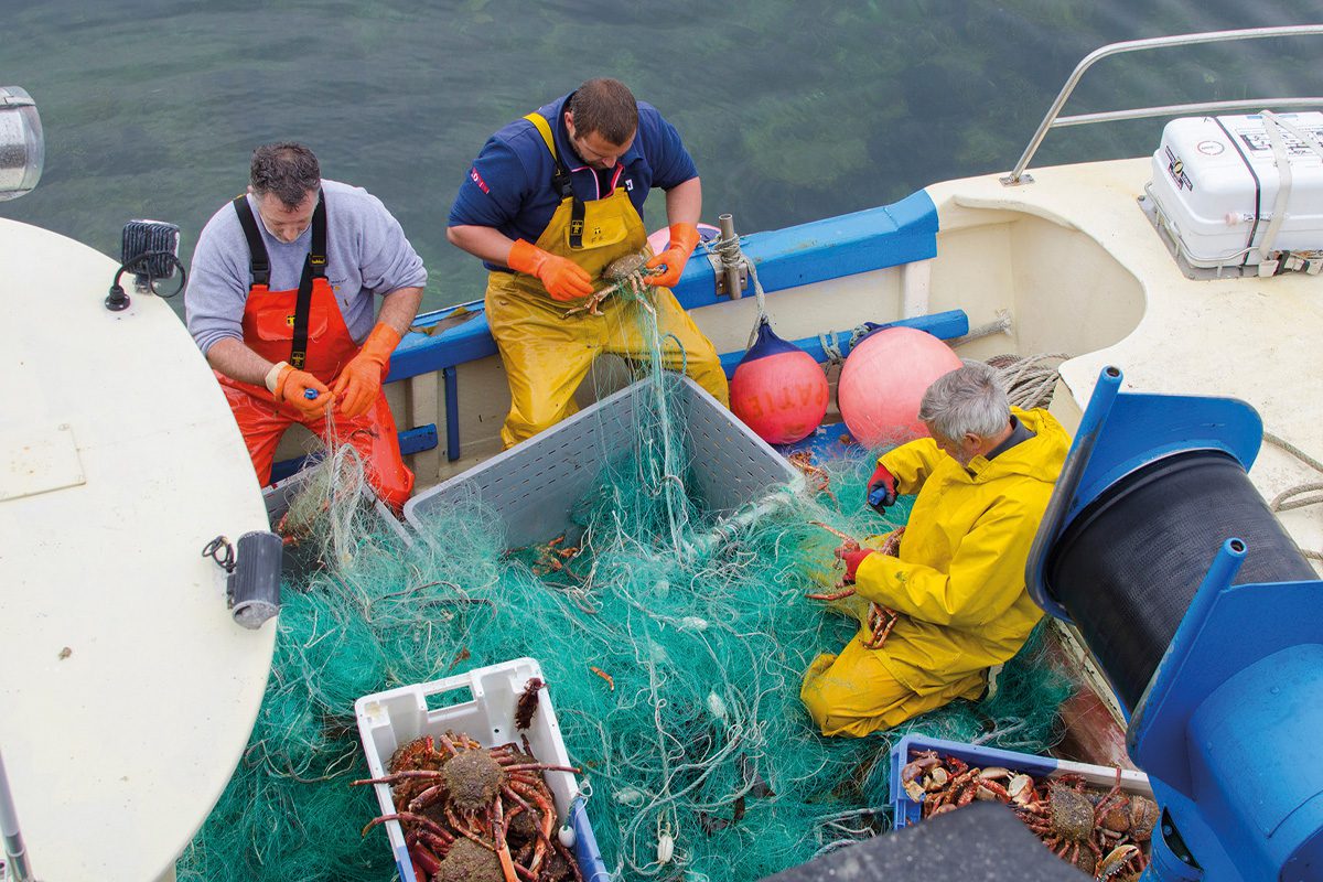 Fishermen catching crab