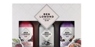 Ben Lomond Gin gift pack