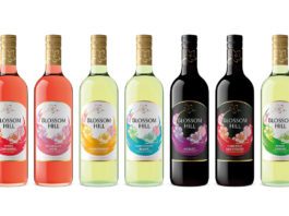 New look for Blossom Hill New Blossom Hill range