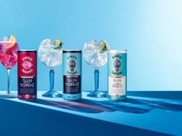 Cans ready for a hot summer Bombay Sapphire & Tonic